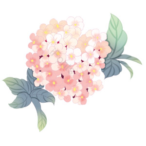 紫阳花 八仙花 洋绣球 粉团花 爱情 朦胧 暧昧