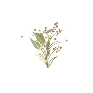 树叶 水彩 花卉 闪烁 装饰 植物 元素 金色