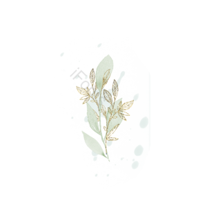 花卉 手绘 水彩 金色 插画 闪亮 元素 叶子