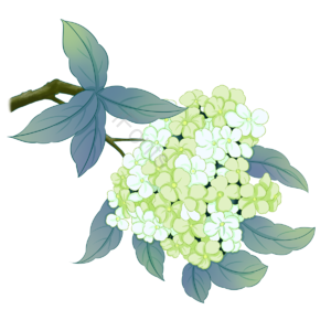 抛绣球 花团 浅绿 春夏 暧昧 求亲 恋爱 爱慕