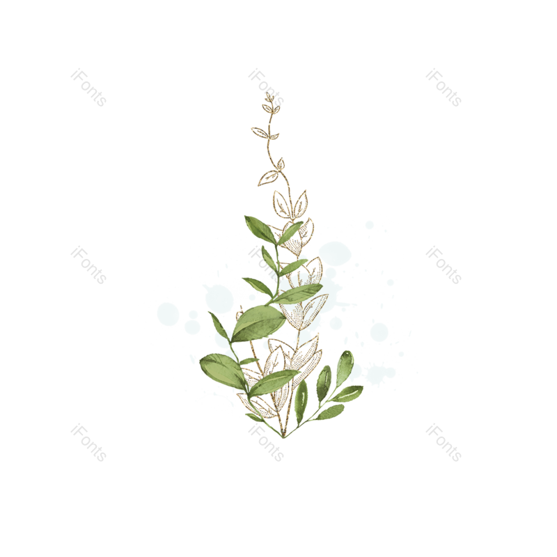 叶子图片,装饰元素,元素PNG,闪亮免抠素材