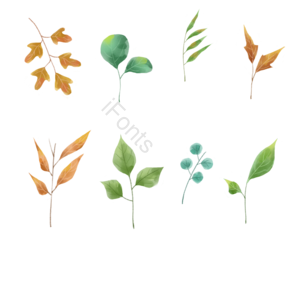 植物 绿色 手绘 草本植物 自然 水彩 植物群 季节