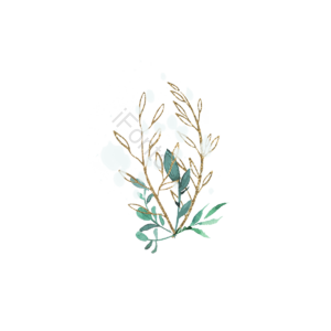 喷溅 植物 叶子 闪亮 金色 绿色 装饰 插画