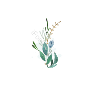 喷溅 植物 树叶 插画 装饰 金色 闪亮 元素