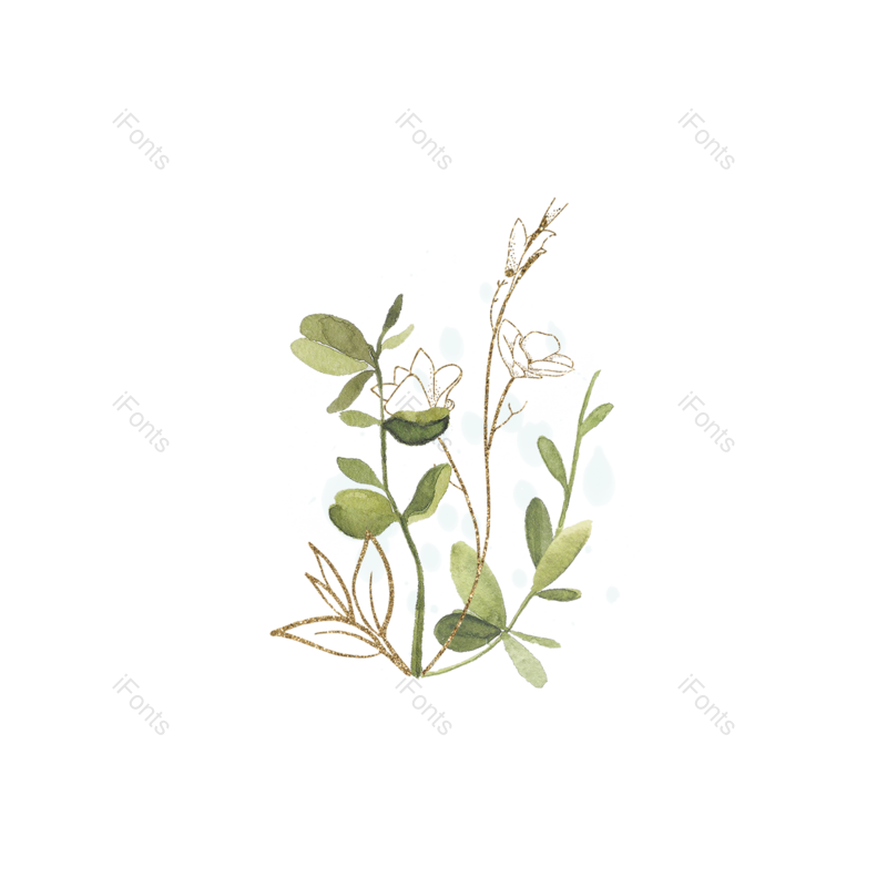 叶子图片,装饰元素,闪亮PNG,树叶免抠素材