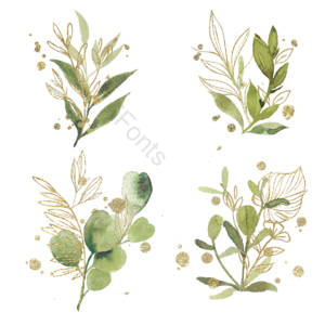 手绘 装饰 喷溅 树叶 插画 金色 植物 花卉