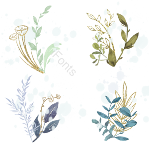 喷溅 金色 花卉 植物 插画 手绘 装饰 奢华