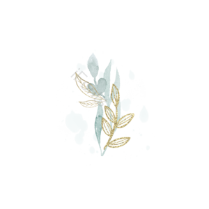 装饰 喷溅 植物 叶子 奢华 绿色 金色 插画