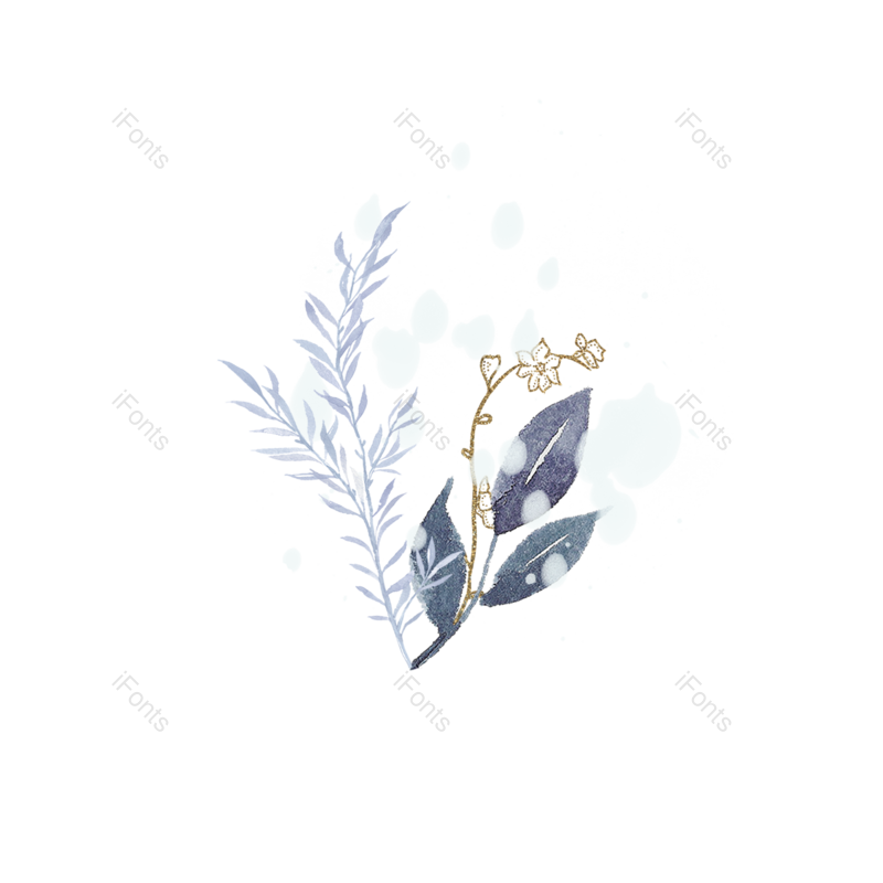 装饰图片,元素元素,插画PNG,花卉免抠素材