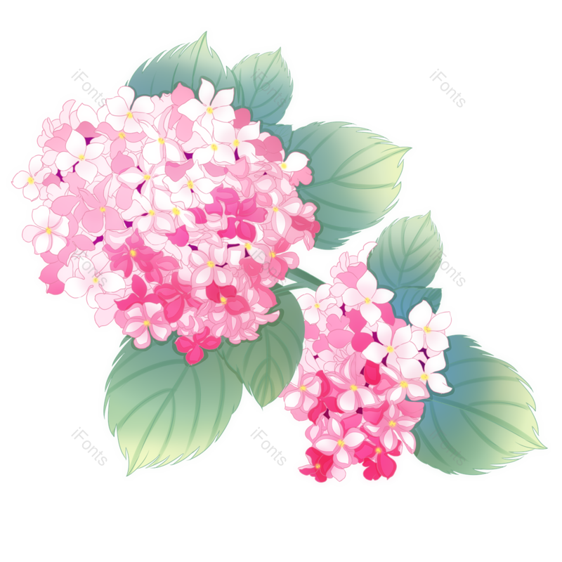 装饰图片,婚礼元素,花卉PNG,免抠素材