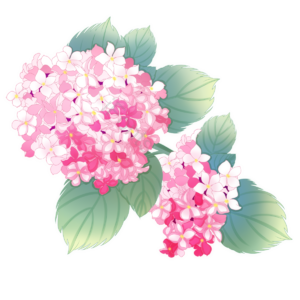 装饰 花卉 绣球 花团 粉团 双色 婚礼