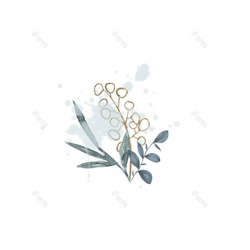 叶子图片,元素元素,树叶PNG,喷溅免抠素材