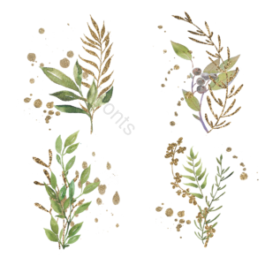 手绘 植物 叶子 树叶 插画 元素 金色 闪亮