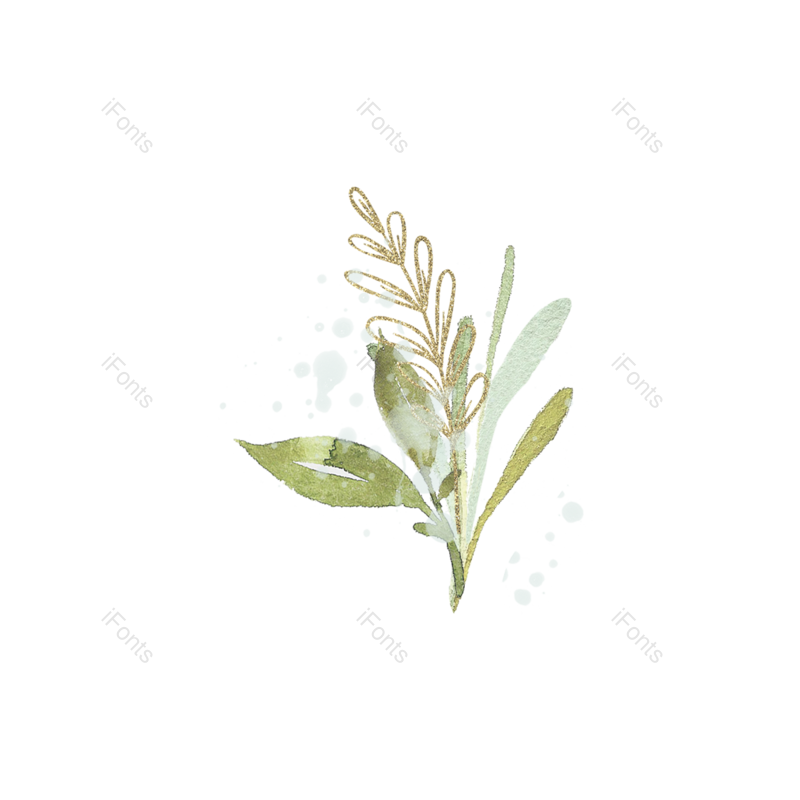 叶子图片,装饰元素,插画PNG,树叶免抠素材