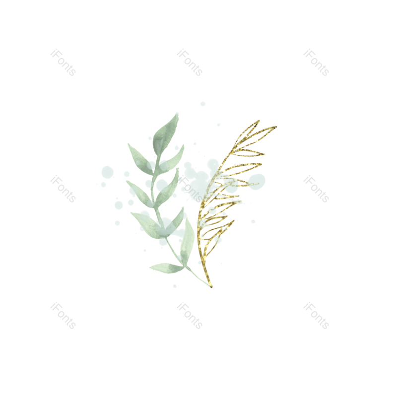 叶子图片,闪亮元素,插画PNG,树叶免抠素材
