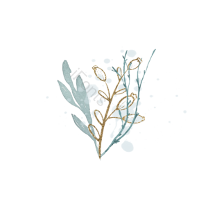 喷溅 植物 绿色 装饰 奢华 金色 插画 元素