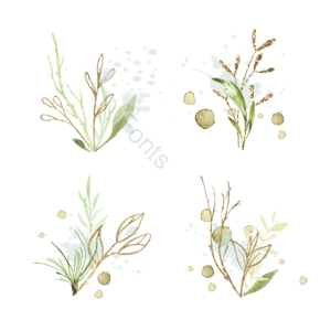 手绘 绿色 插画 叶子 树叶 植物 装饰 金色