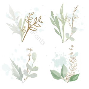 装饰 植物 插画 绿色 手绘 叶子 喷溅 奢华