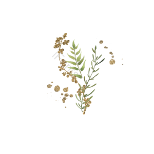 装饰 植物 叶子 奢华 插画 绿色 元素 喷溅