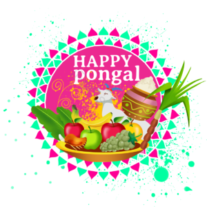 快乐 丰收 果实 印度 节日 pongal makar sankranti