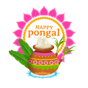 喜庆 印度 丰收节 快乐 makar sankranti pongal lohri