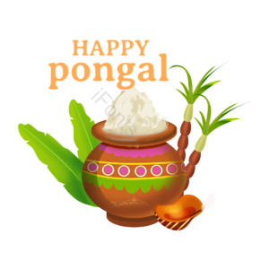 印度 收获 丰盛 果实 节日 pongal makar sankranti
