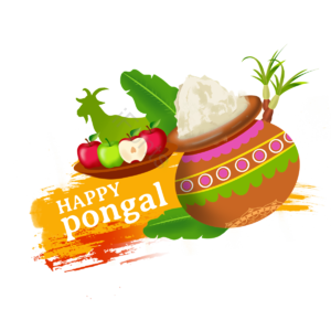 印度 开心 丰收节 派对 文化 pongal makar sankranti