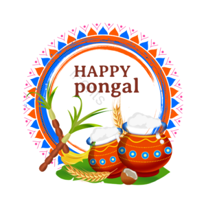 手绘 庆祝 丰收节 印度 文化 pongal makar sankranti
