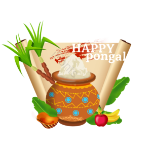 手绘 丰收节 印度 文化 装饰 pongal makar sankranti