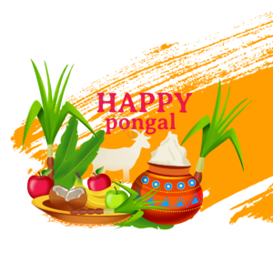 丰收节 手绘 美味 水果 印度 装饰 pongal makar