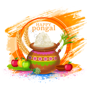 节日 派对 印度 丰收 典礼 pongal makar sankranti