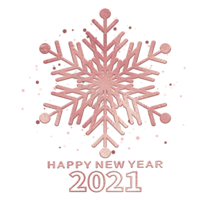 粉色雪花 插画 元素 新年 装饰