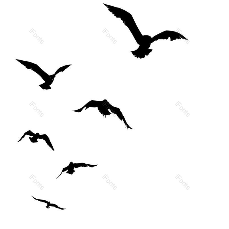 插图图片,动物元素,翅膀PNG,羽毛免抠素材