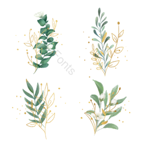 手绘 花卉 叶子 金色 简约 水彩 绿色 线条奢华