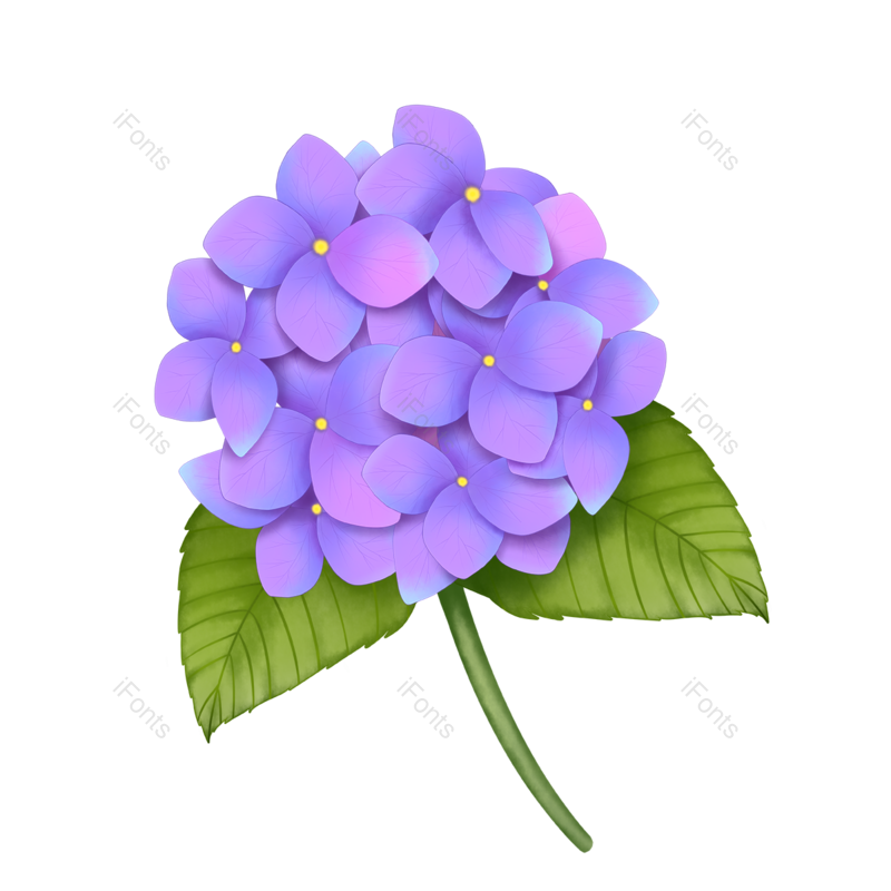 绿叶图片,花卉元素,花瓣PNG,紫色免抠素材