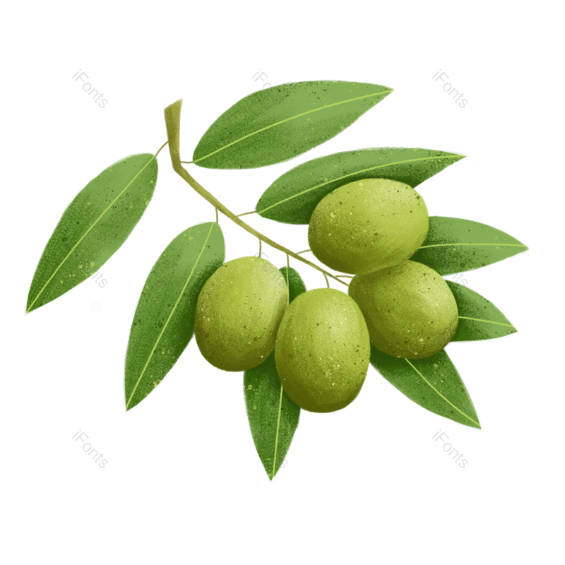 卡通图片,橄榄元素,橄榄枝PNG,橄榄果免抠素材