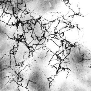 破碎 裂纹 墙面 砖墙 裂缝 损伤 影响 纹理