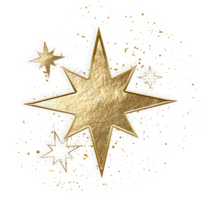 christmas star 八角星 多角星星 圣诞星星 立体感 金色 金粉