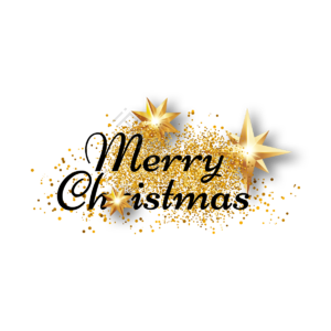 christmas star 八角星 多角星星 圣诞星星 立体感 金粉 闪耀