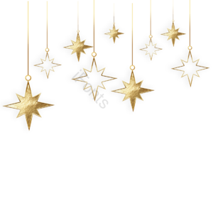 christmas star 八角星 多角星星 圣诞星星 立体感 闪耀 金色