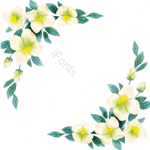 茉莉花 清新 叶子 花瓣 植物 花卉 绿色 手绘