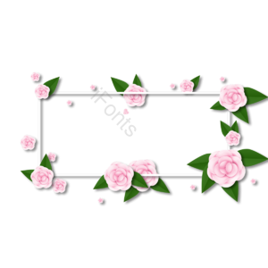 情人节 七夕节 爱心 浪漫 玫瑰花 花圈 粉色