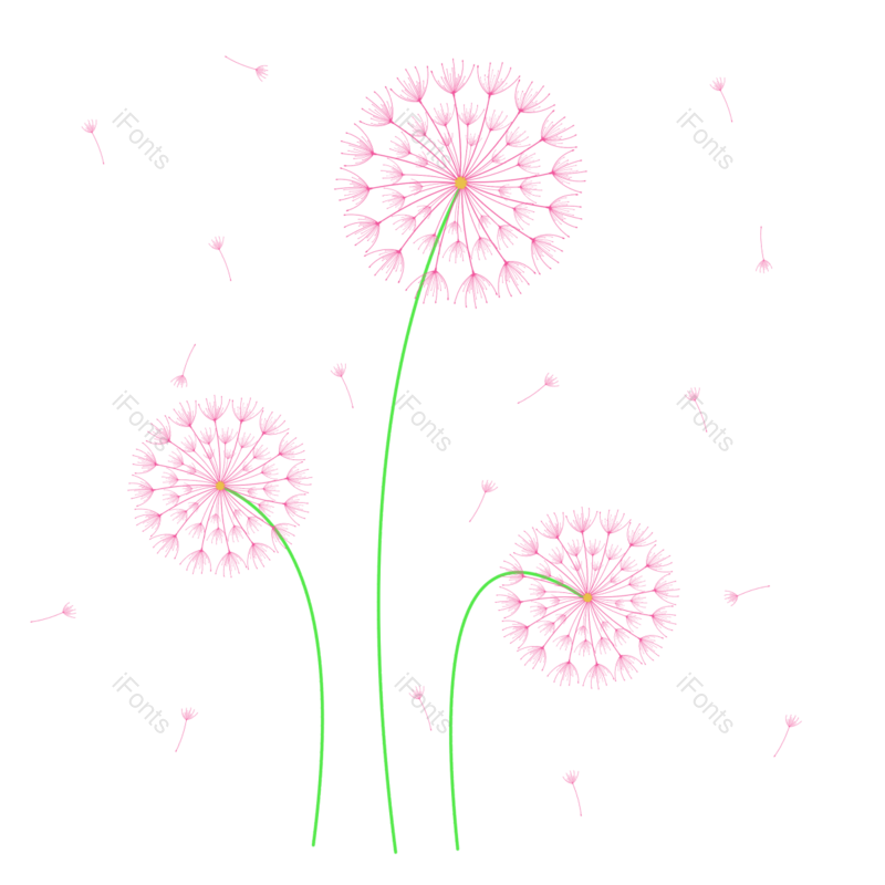 种子图片,花朵元素,春季PNG,春天免抠素材