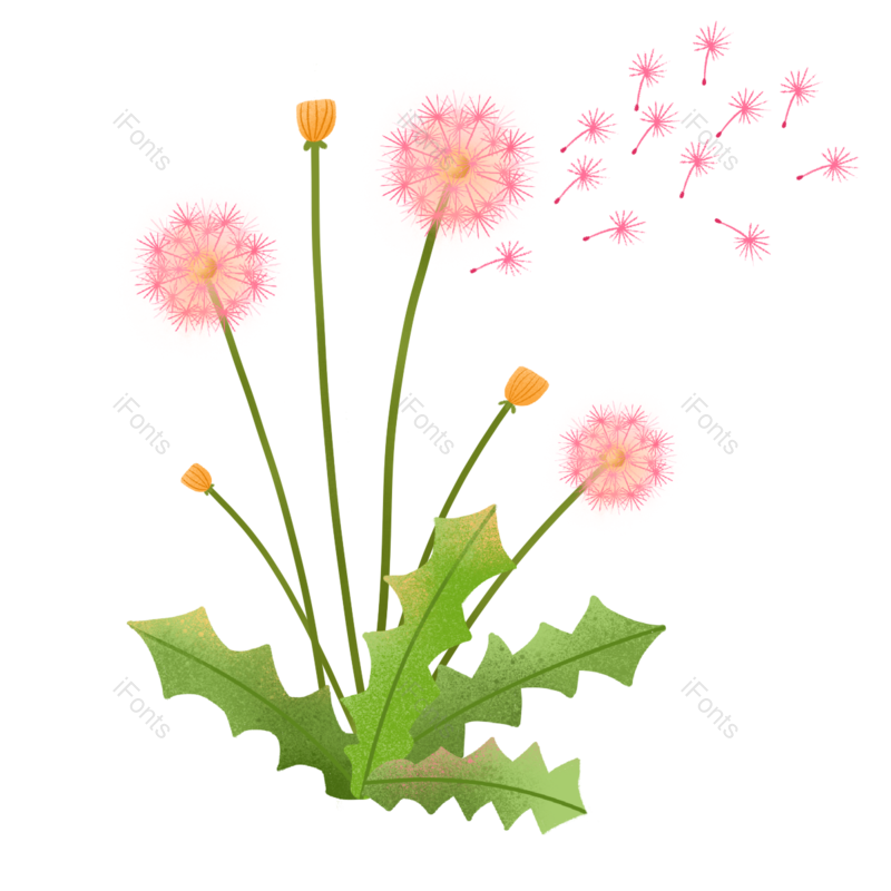 种子图片,元素,PNG,免抠素材