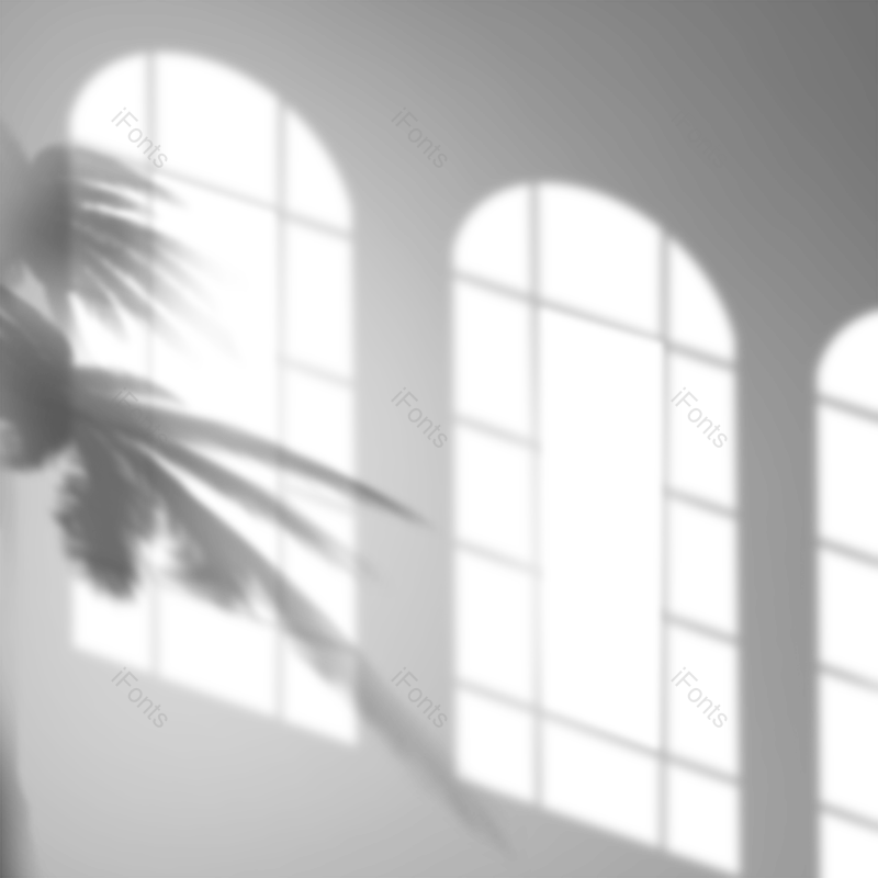 叶子图片,黑白元素,渐变色PNG,阴影免抠素材